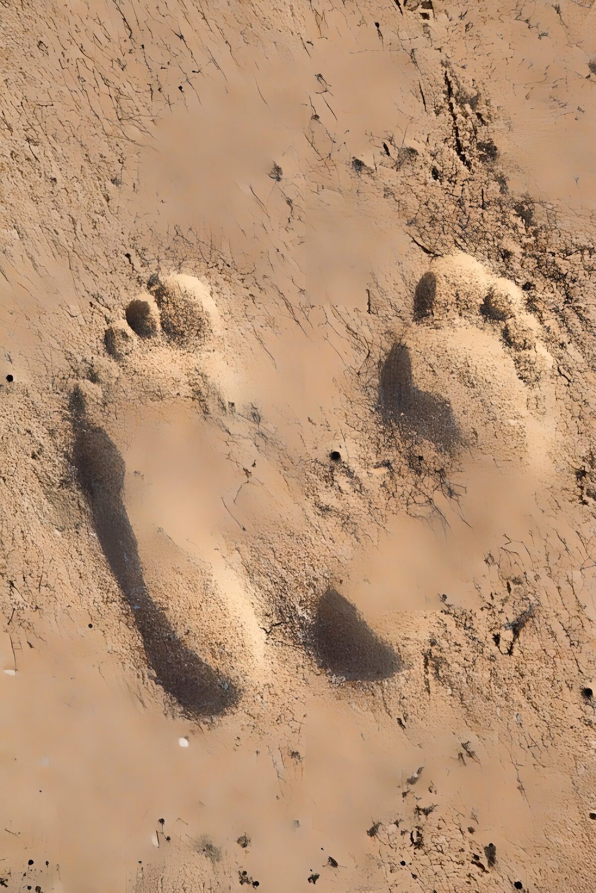 Twee blote voetafdrukken in warm zand