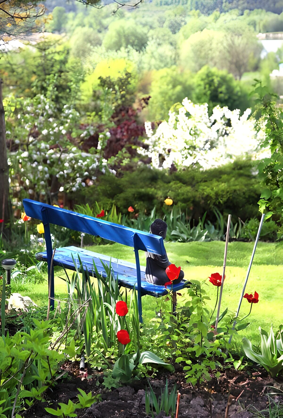 Blauwe tuinbank tussen rode tulpen