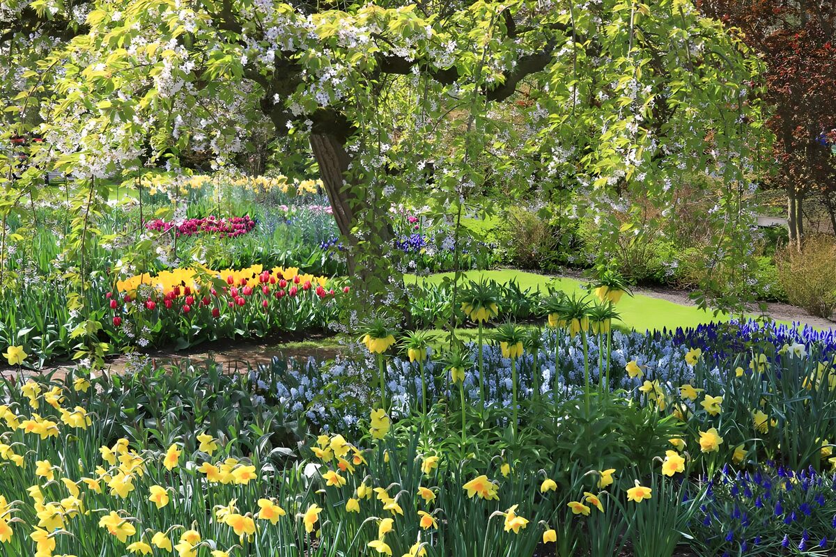 Lentetuin met narcissen en tulpen