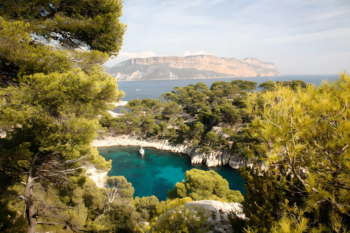 Turquoise baai tussen de dennen