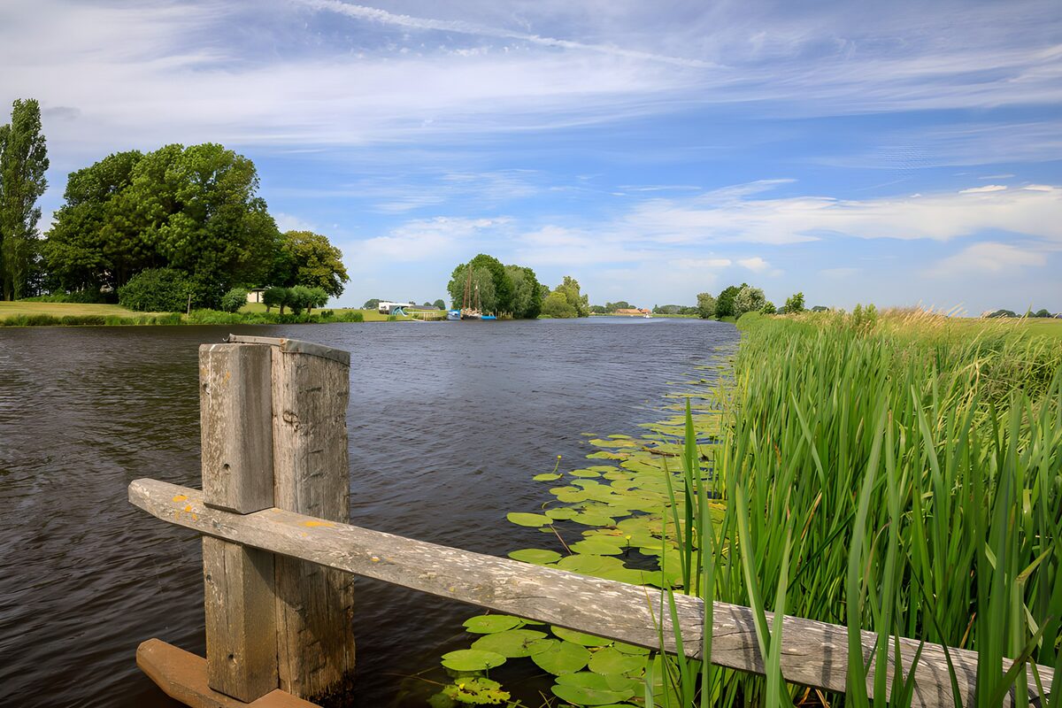 Waterweg met riet en verweerd hout