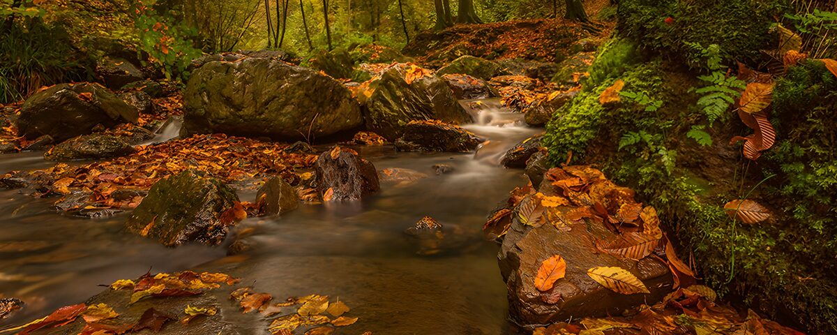Een lint van water door de herfst