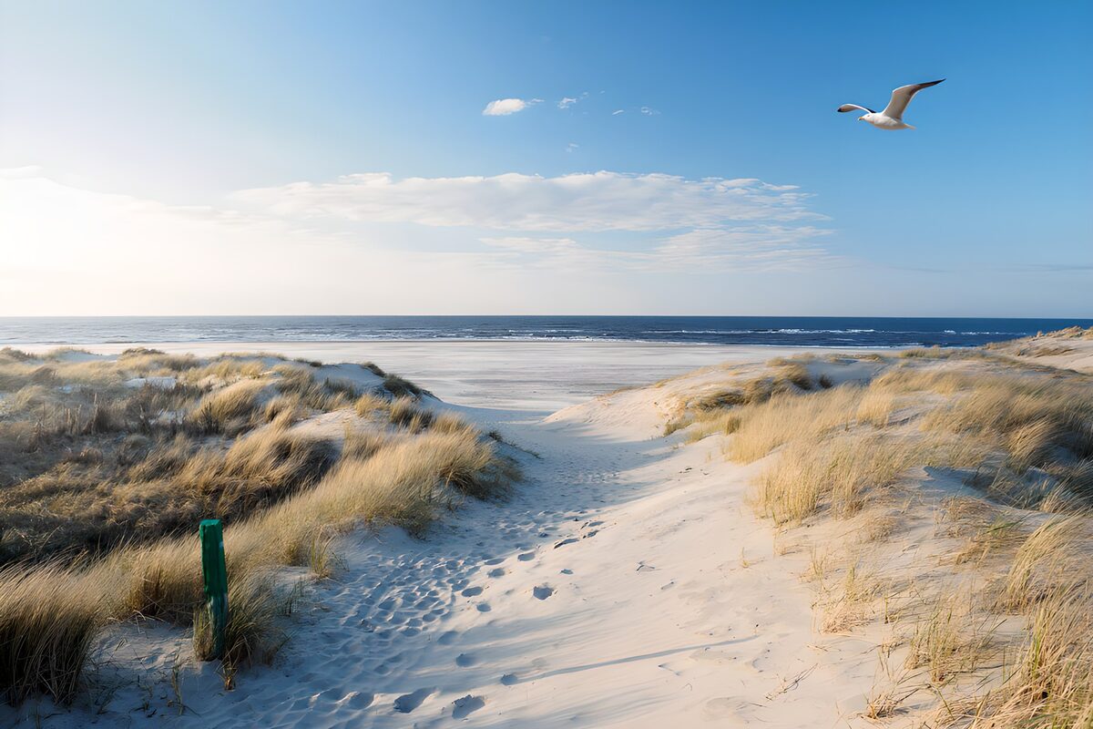 Duinpad naar zee onder een blauwe lucht