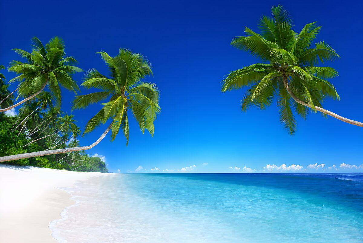 Palmen boven wit zand en turquoise zee