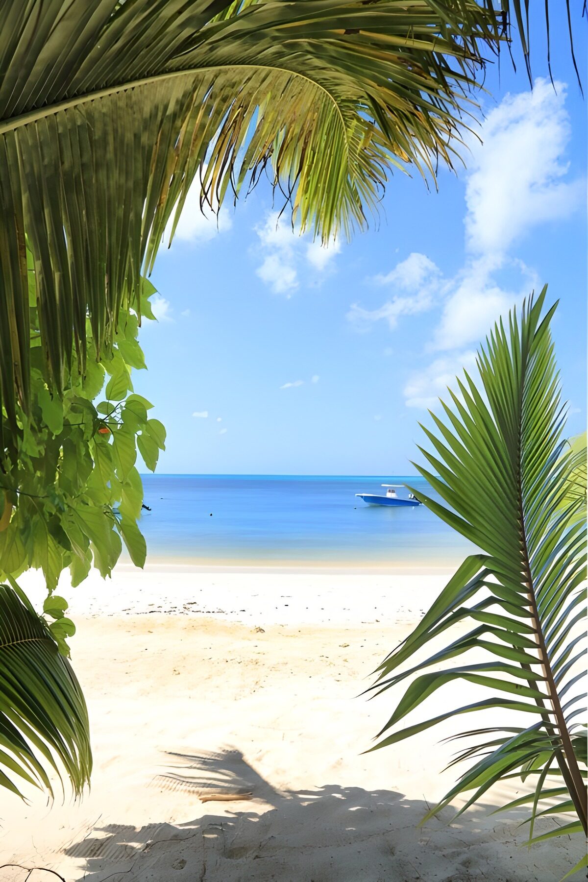 Zonnig strand tussen palmbladeren