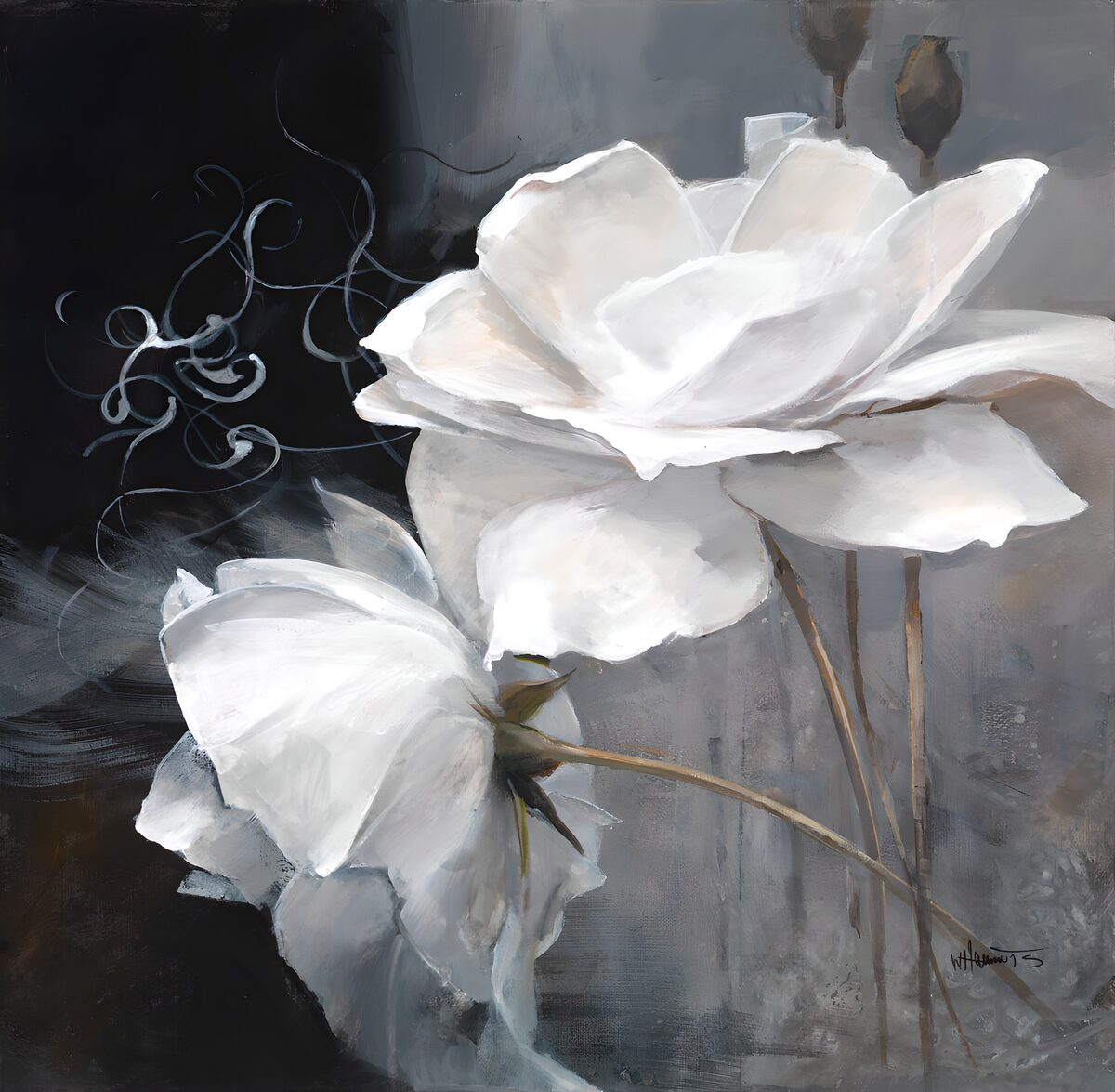 Twee witte bloemen in grijs en zwart