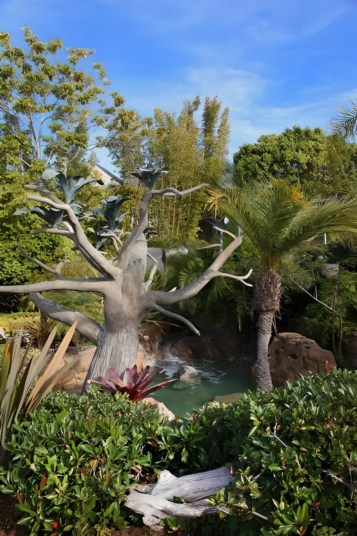 Zonnige tuin met palm en vijver
