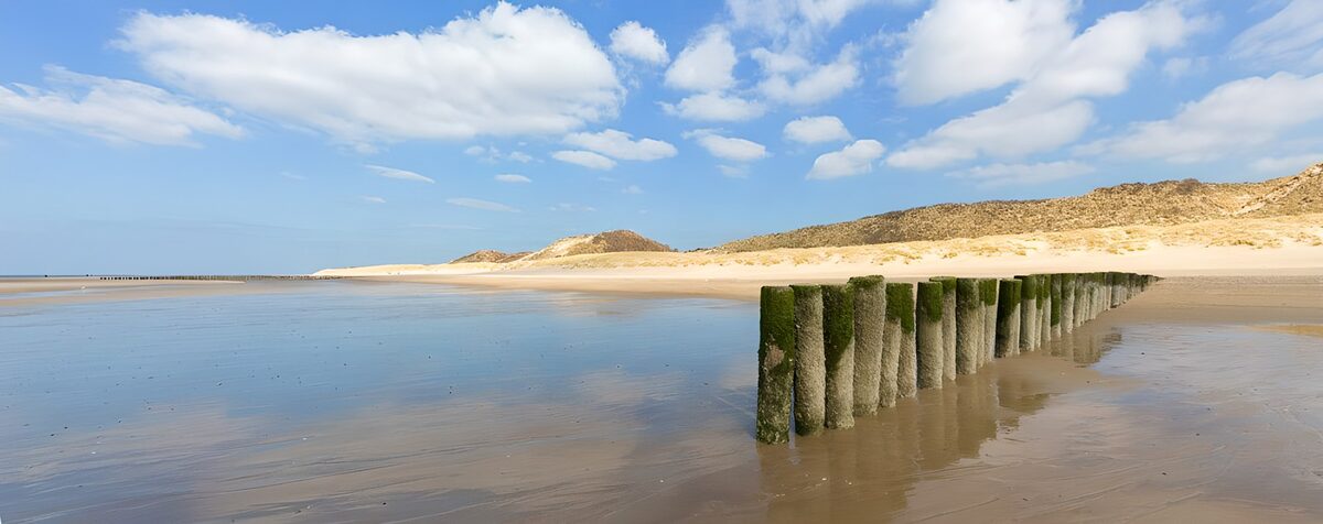Houten strandpalen bij laagwater