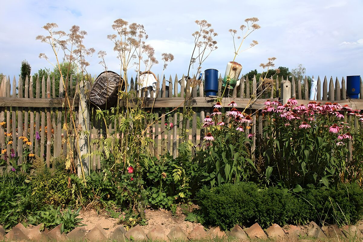 Zomerse border met roze zonnehoed