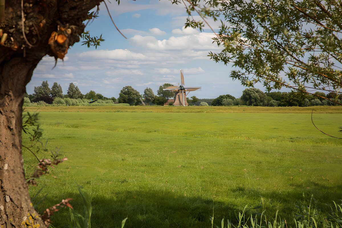 Groene weide met een molen in de verte