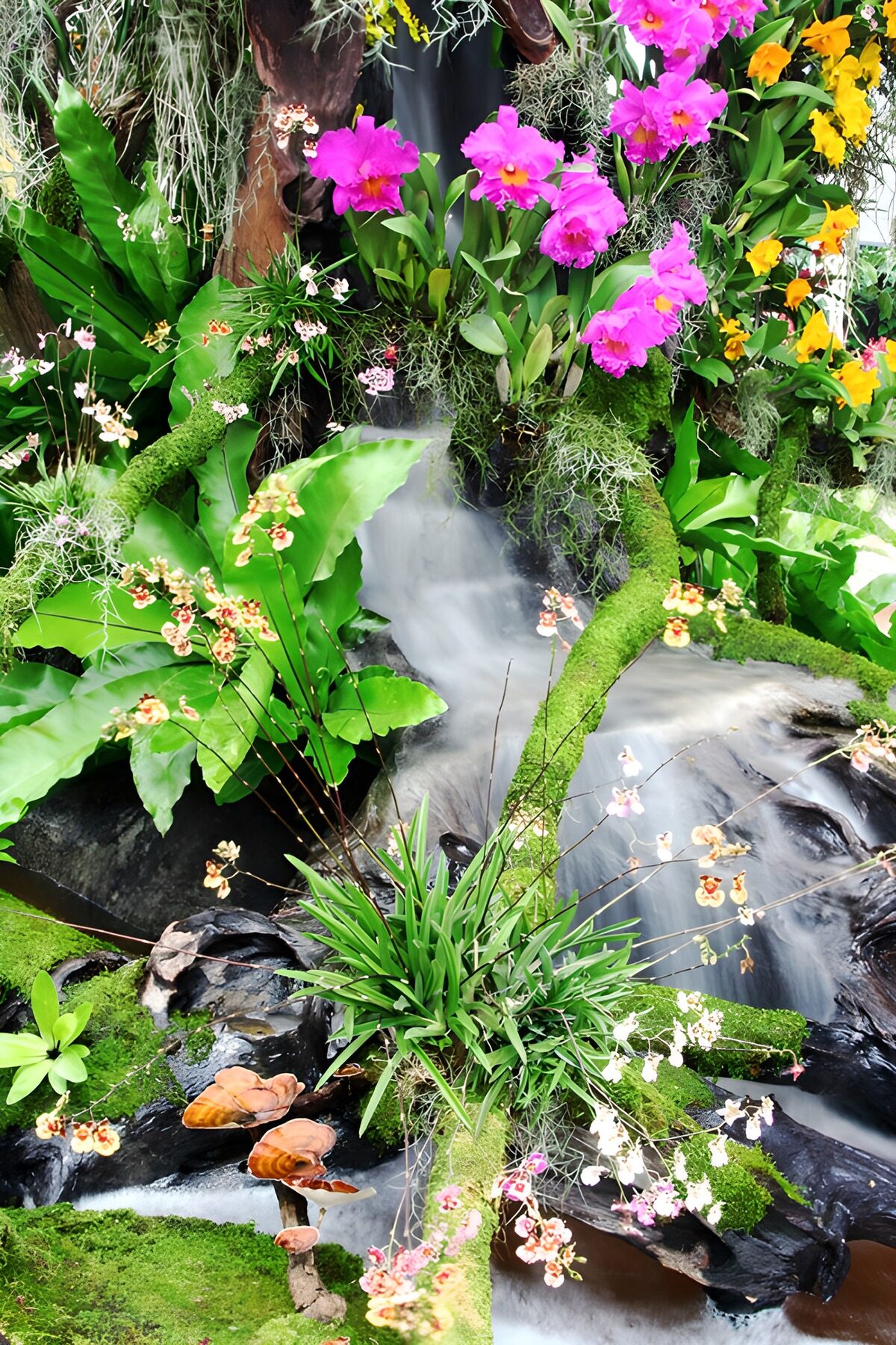 Roze orchideeën rond een groene waterval