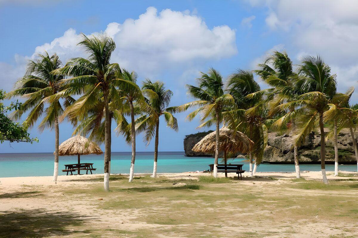Palmenstrand met rieten parasols