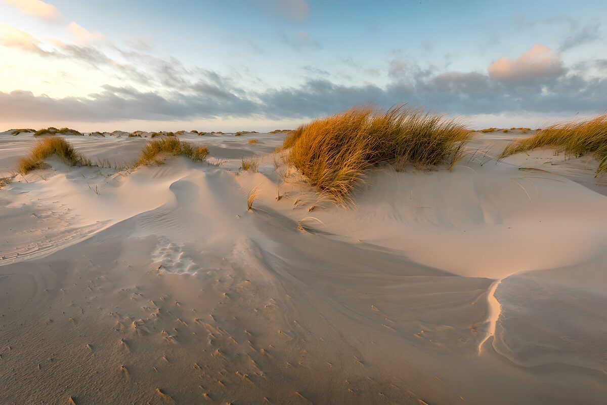Zandduinen in laag zonlicht