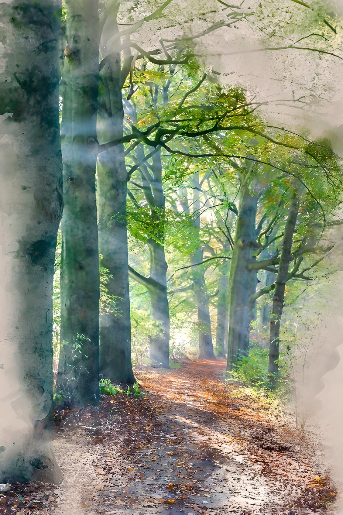 Bospaadje met bladeren en zonlicht