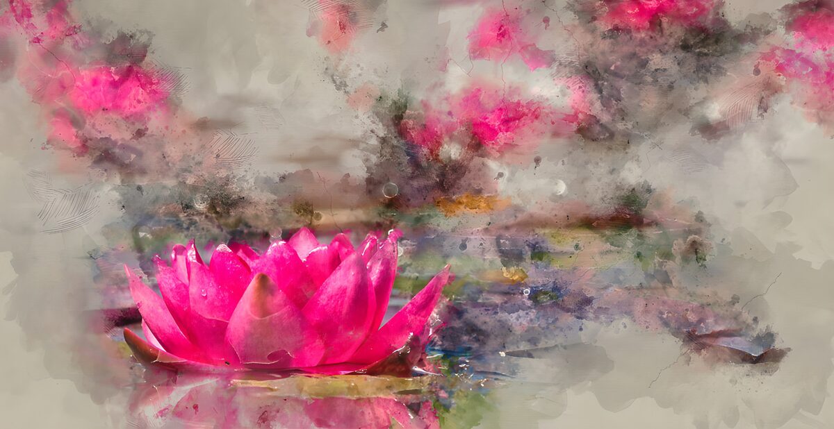 Roze waterbloem op een zachte vijver