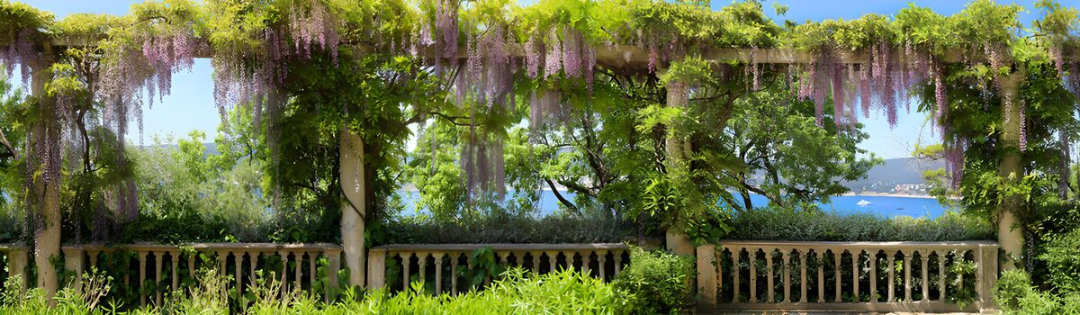 Pergola met blauweregen en zeezicht