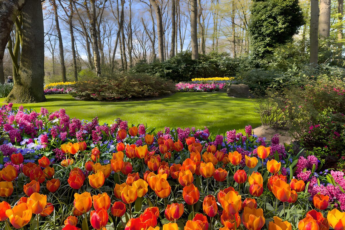 Oranje tulpen en roze hyacinten