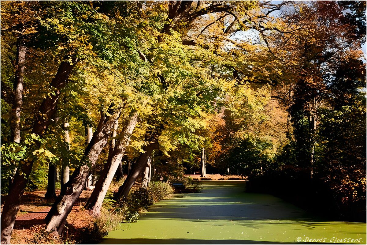 Herfstbomen langs groen water