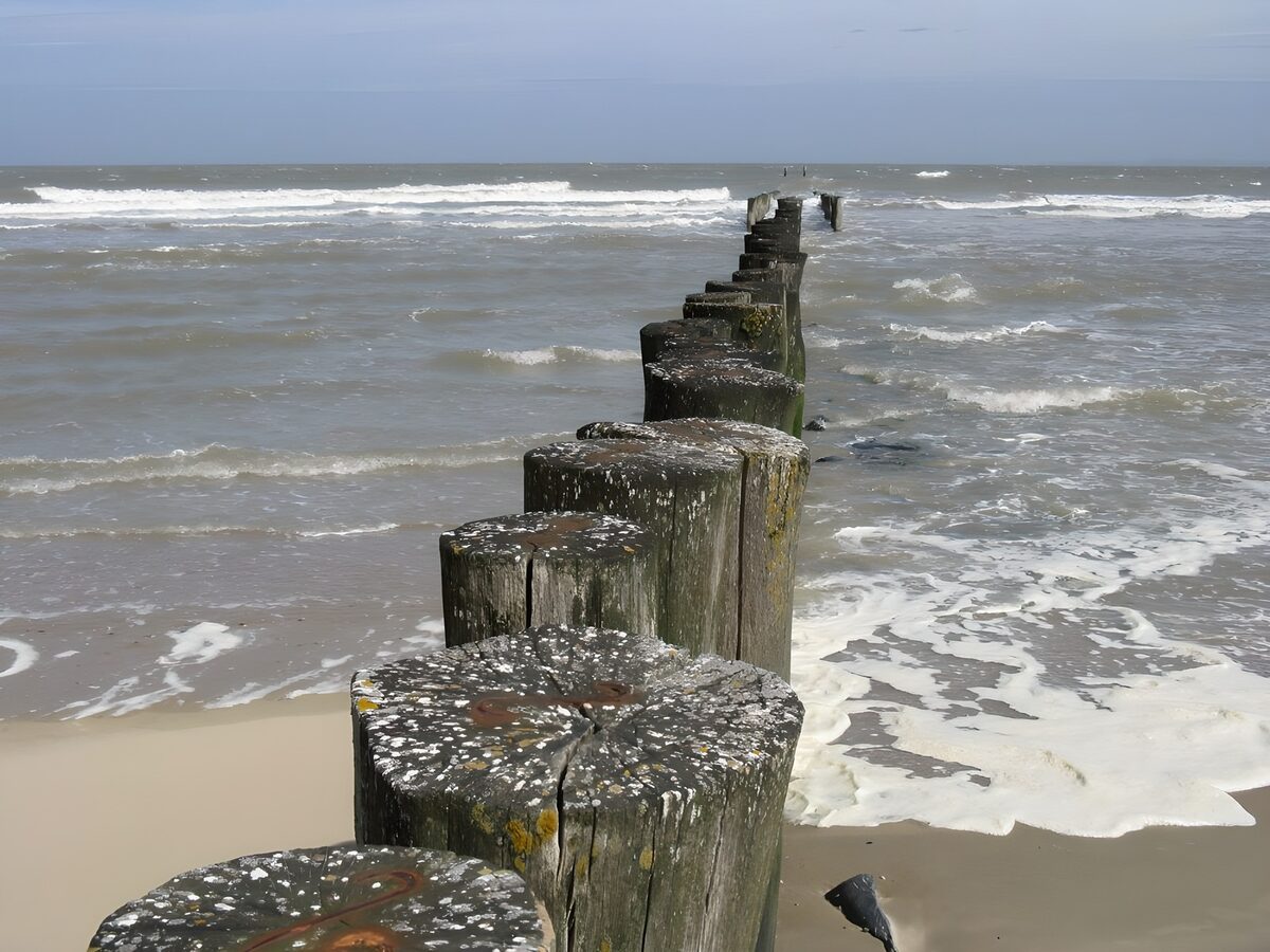 Houten golfbreker in de branding