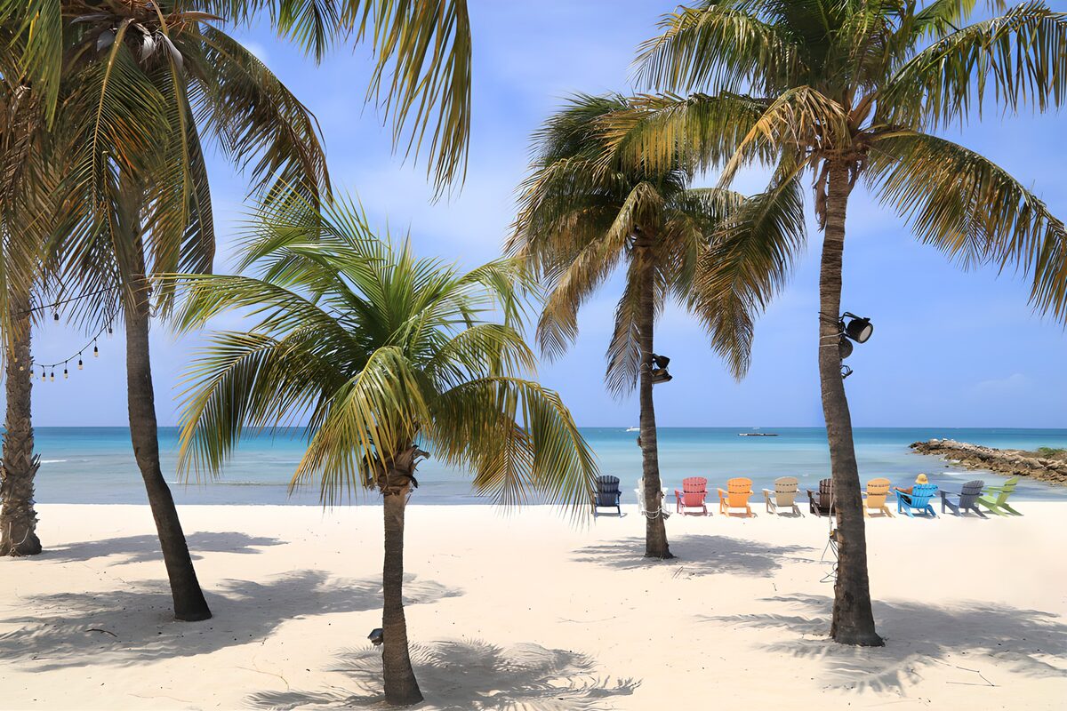 Palmbomen en kleurrijke strandstoelen