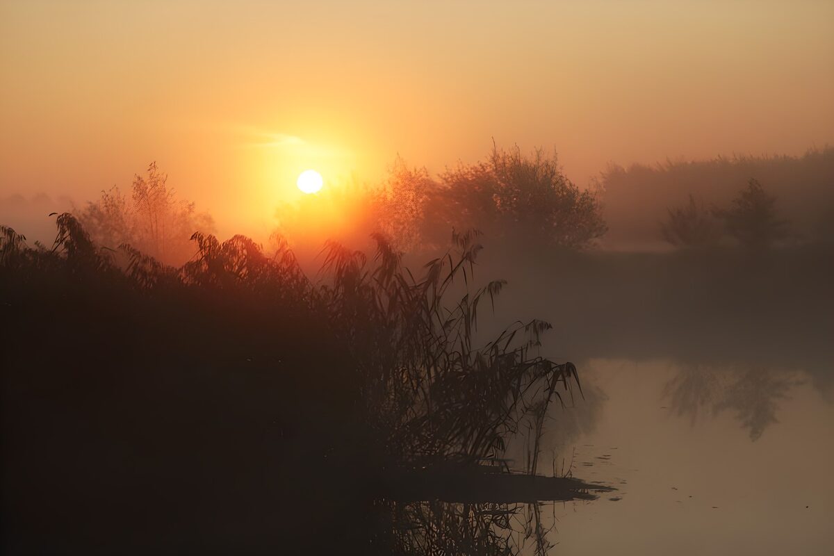 Zonsopgang boven water en riet