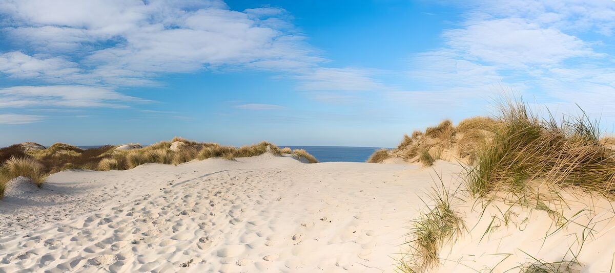 Duinen met uitzicht op zee