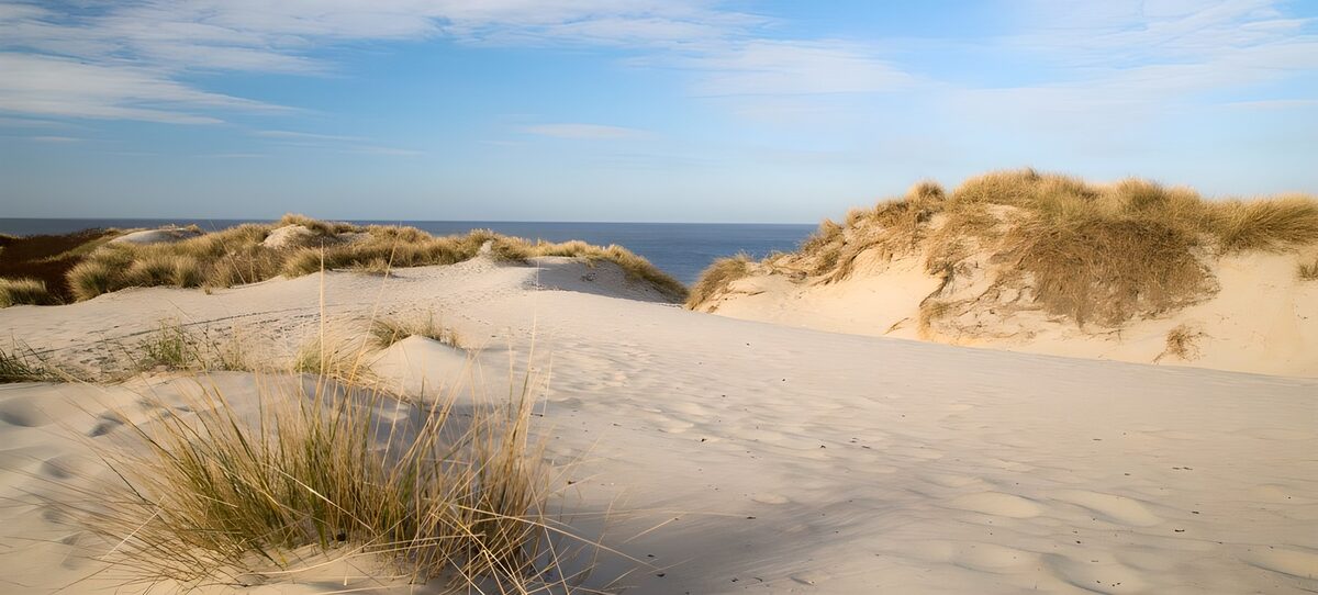 Zandduinen met gras en zeezicht