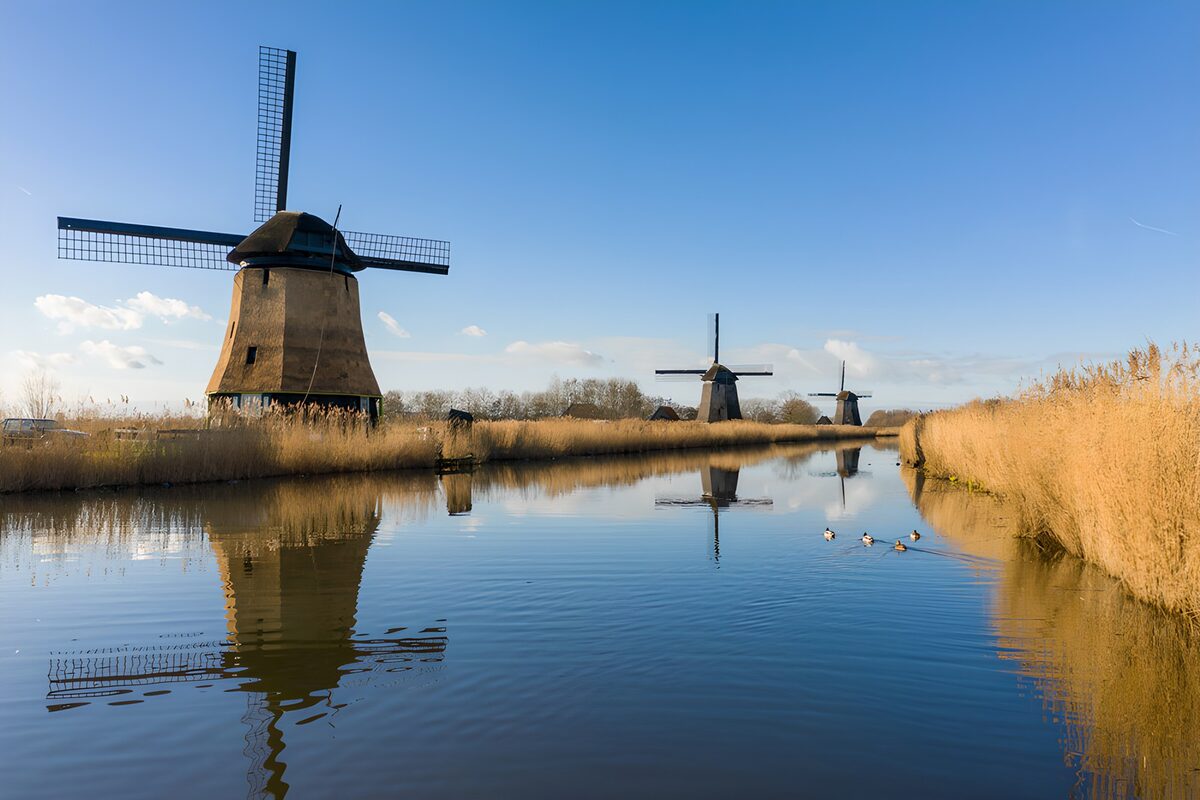 Drie molens aan het rietrijke kanaal