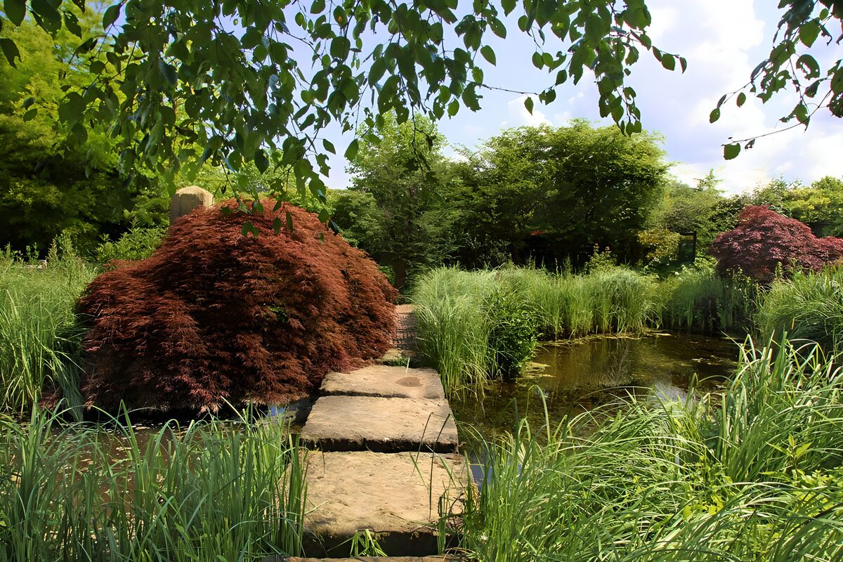 Stenen pad langs de tuinvijver