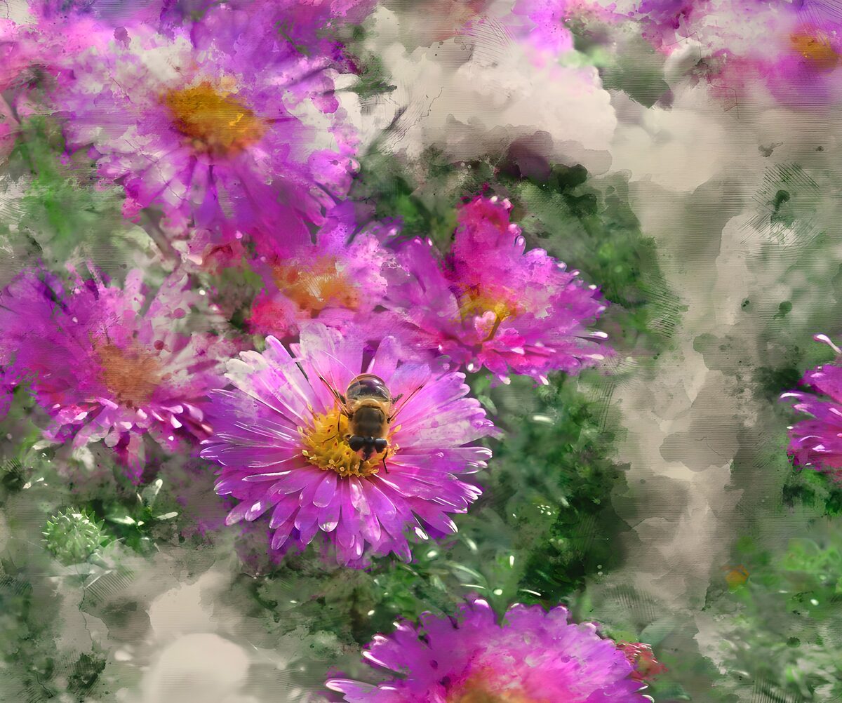 Roze bloemen met een insect