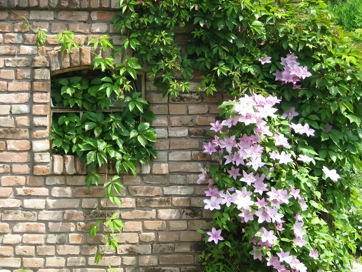Bakstenen muur met roze bloemen