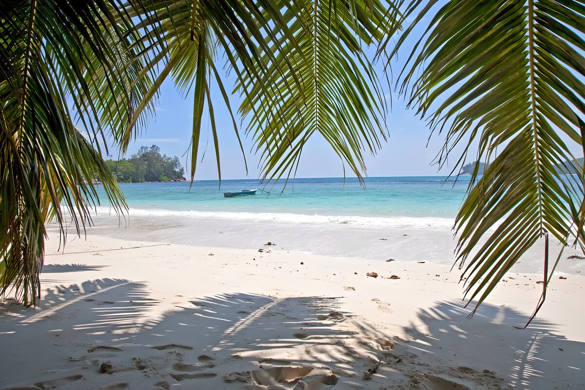 Palmbladeren boven een tropisch strand