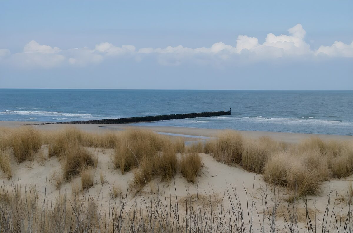 Duinen en strand met een donkere golfbreker