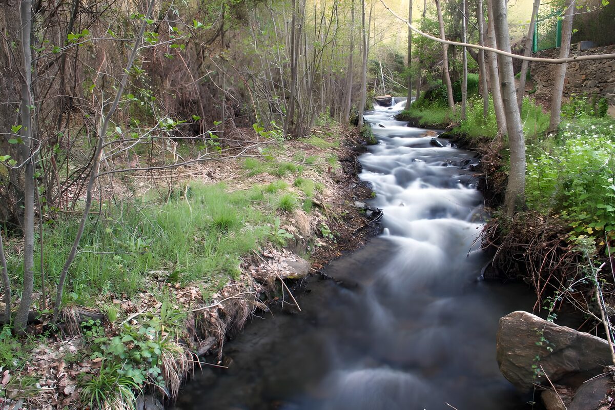 Een lint van water tussen de bomen