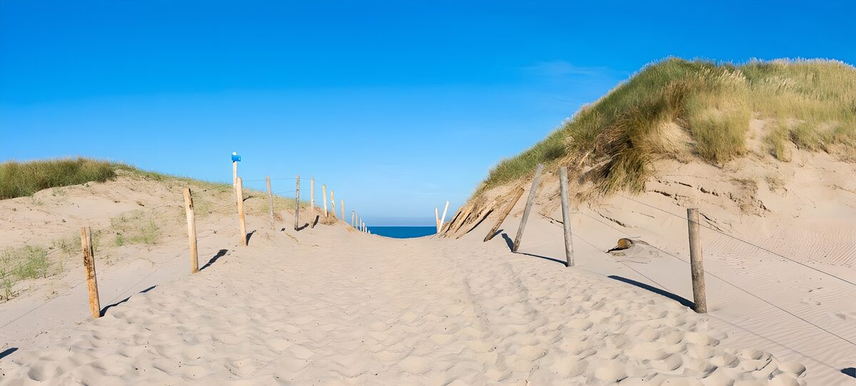 Zandpad tussen duinen naar zee