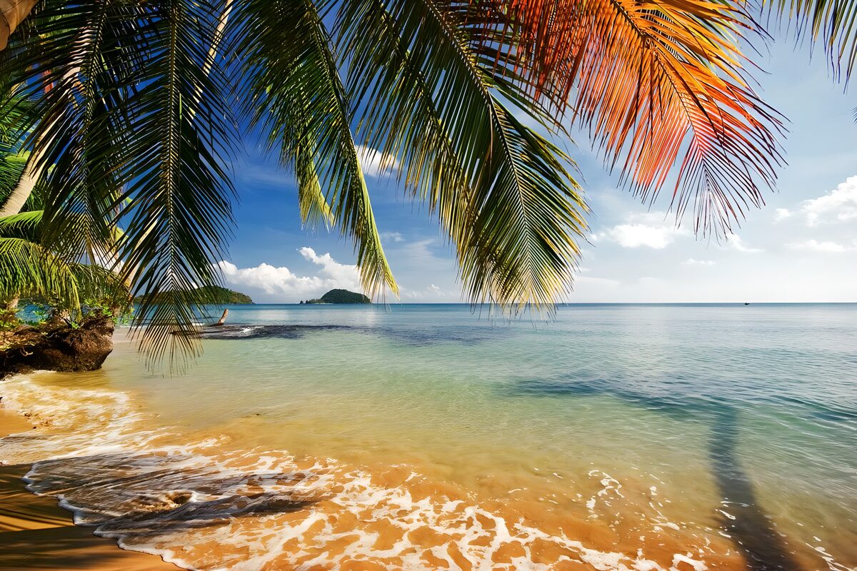 Waar palmblad de zee omlijst