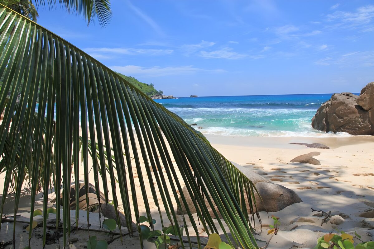 Tropisch strand achter een palmblad