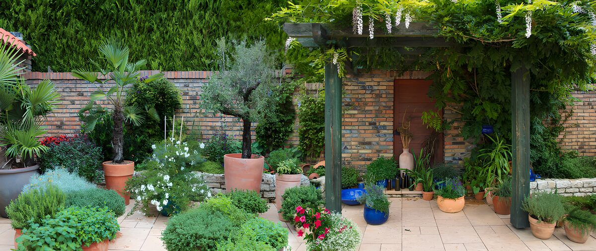 Groene patio met pergola en bloempotten