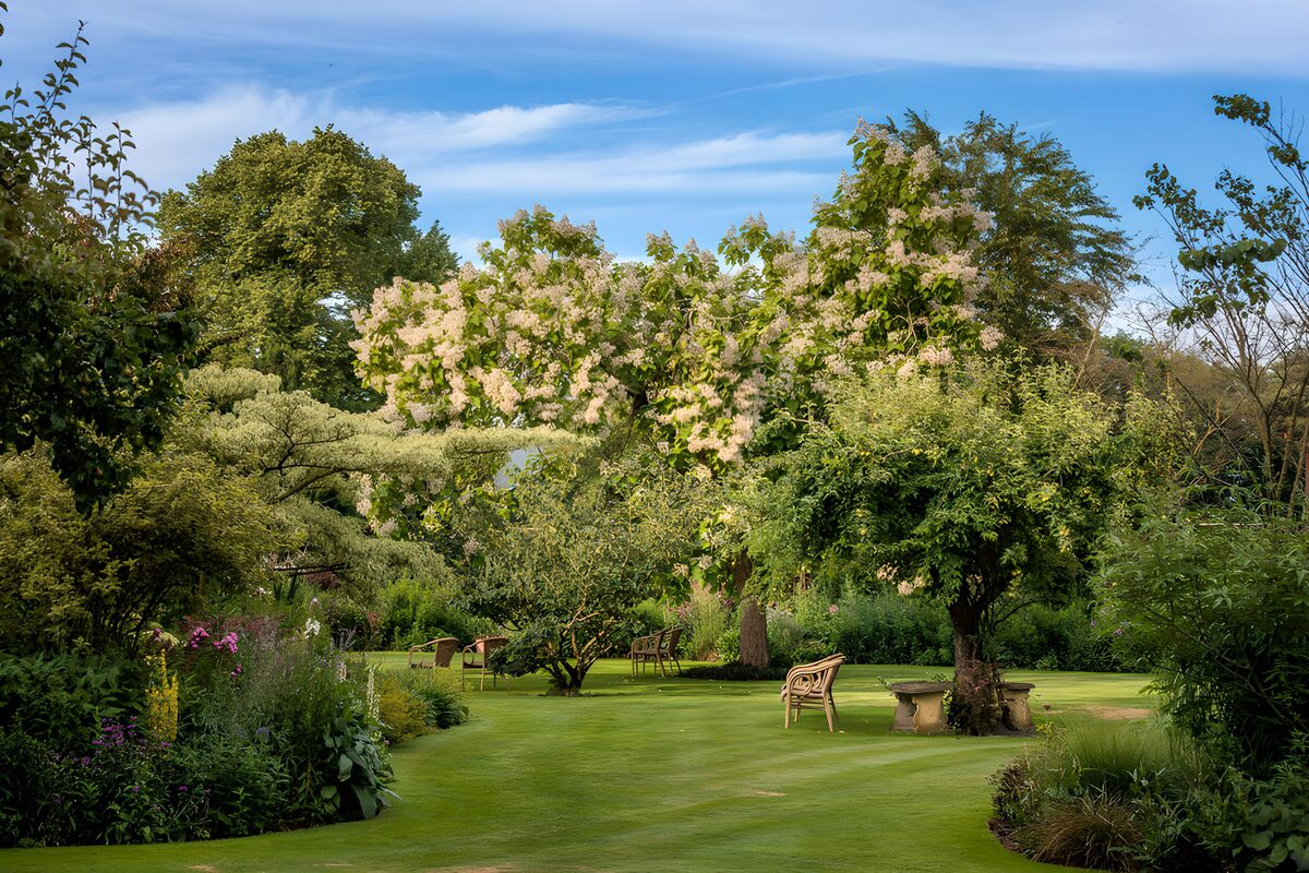 Groene tuin met bloesem en tuinstoelen