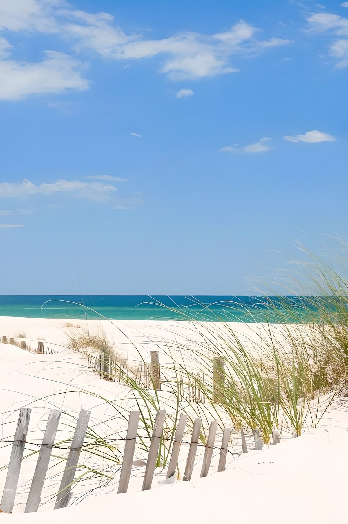 Witte duinen, duingras en turquoise zee