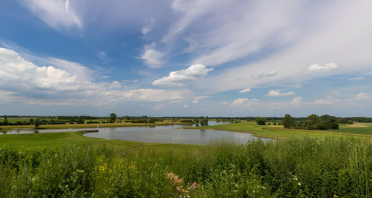 Vijver tussen gazon en wilde grassen