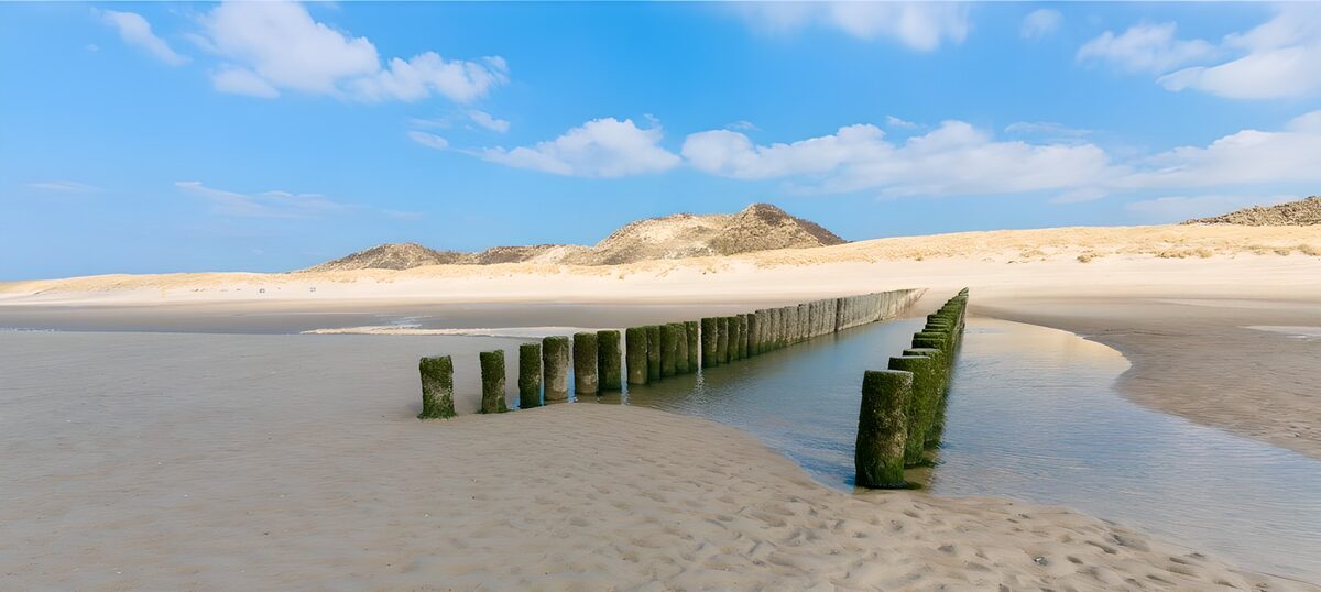 Houten palen langs de getijdengeul