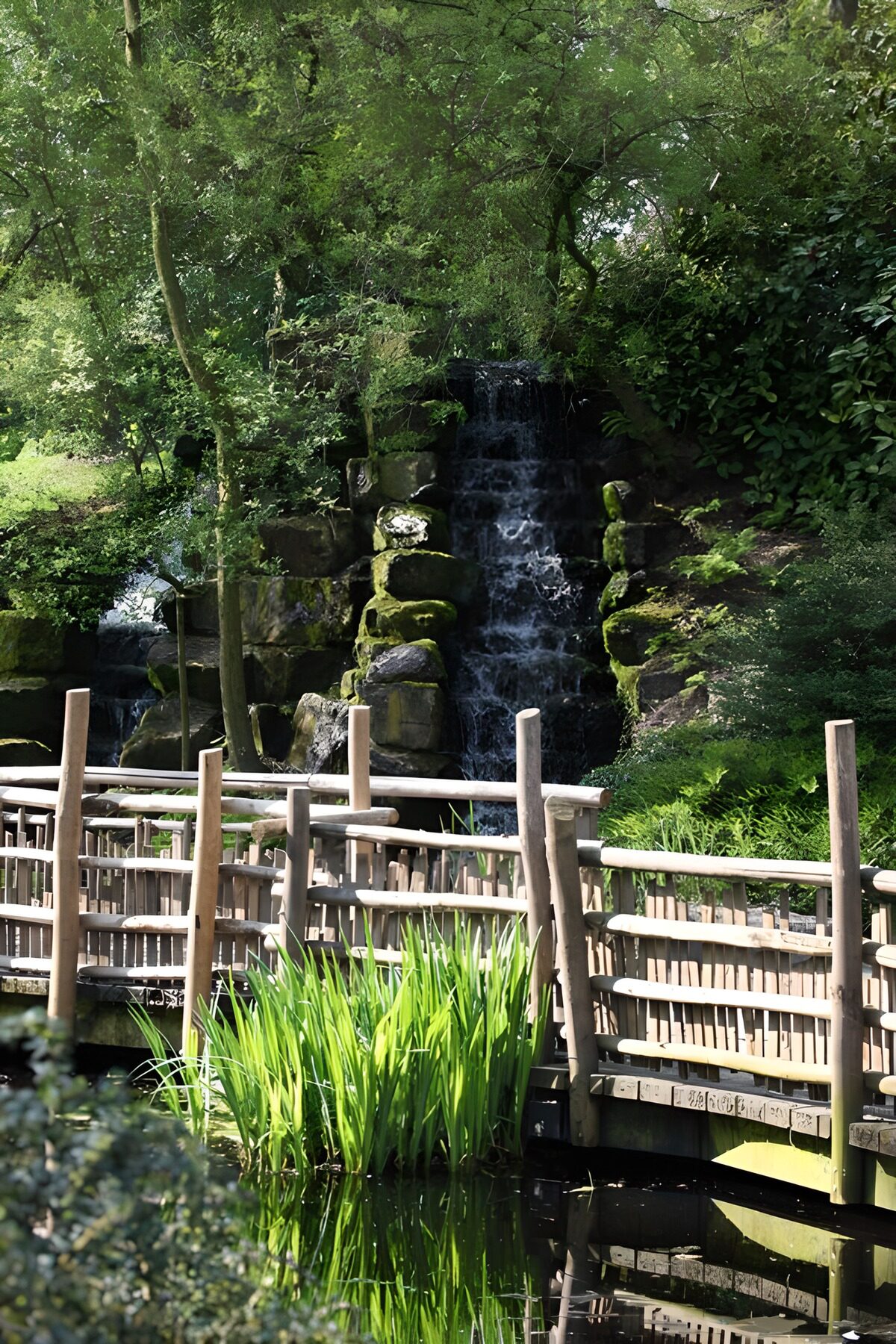 Houten brug voor een groene waterval