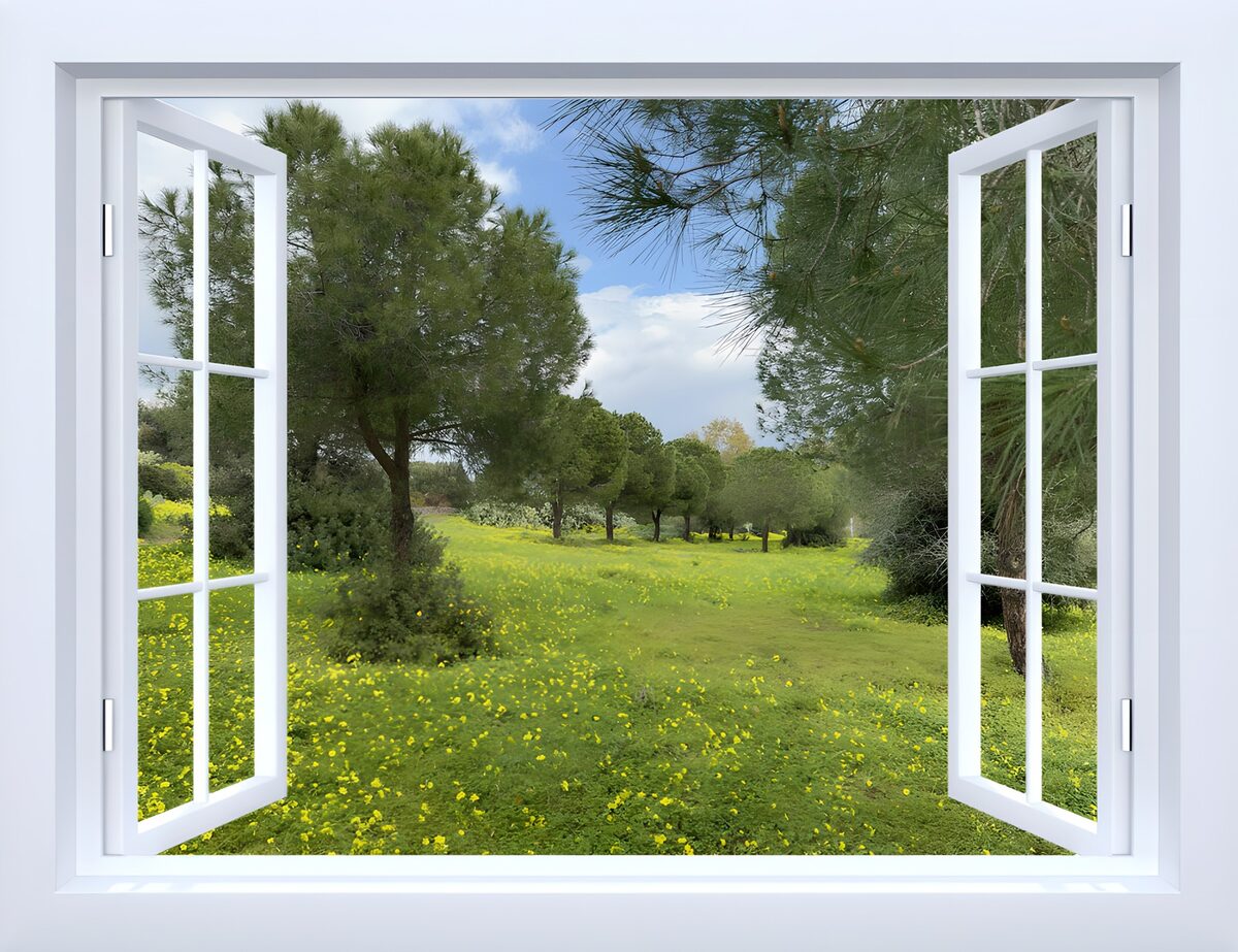 Open raam op een groene bloemenweide