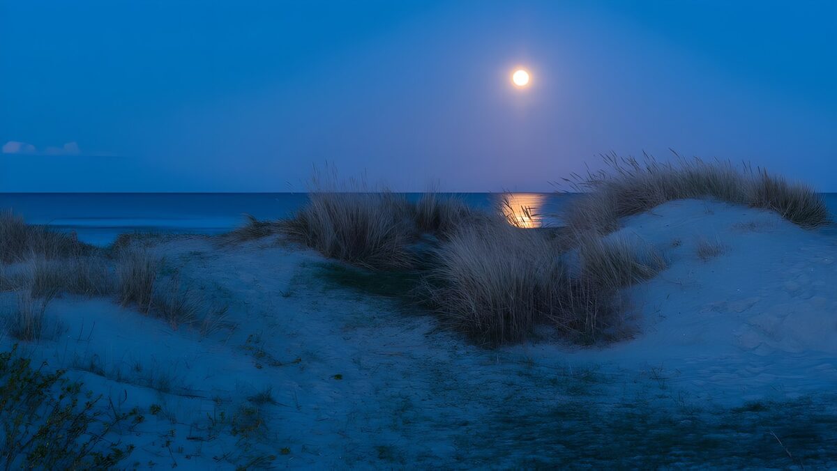 Duinen en zee bij volle maan