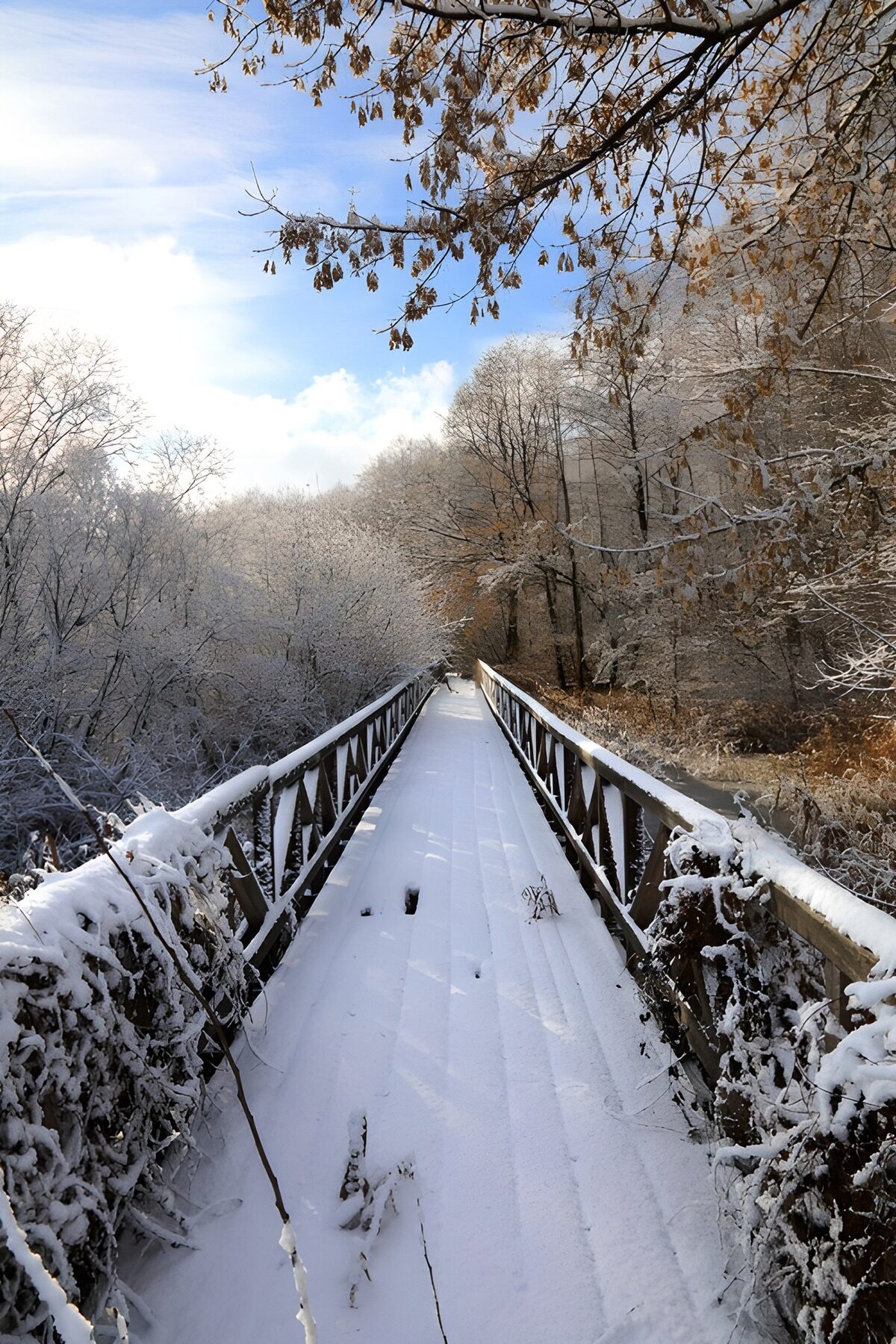 Besneeuwde voetbrug in een stil bos