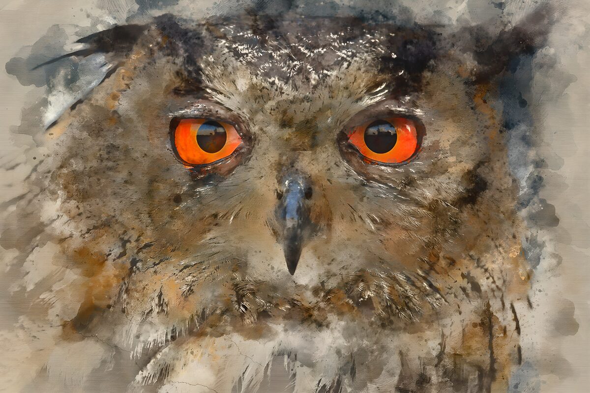 Uilenportret met feloranje ogen