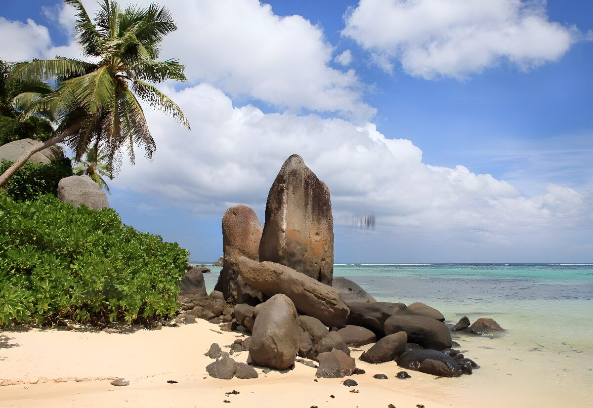 Tropisch strand met palmen en rotsen