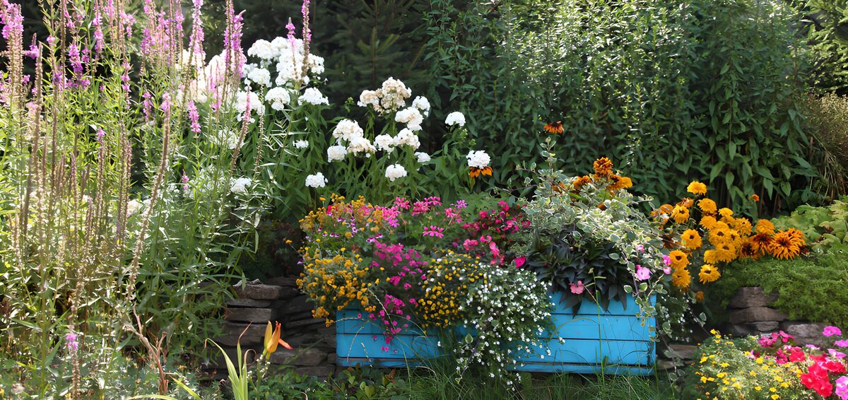 Zomerbloemen in een blauwe plantenbak