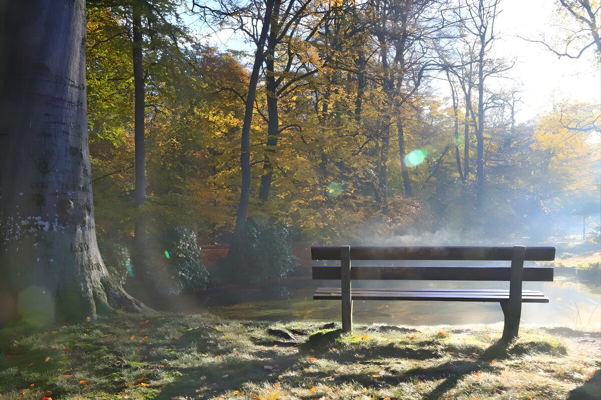Bankje aan de vijver in herfstlicht